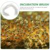 FONDOTIN Fish Breeding Brush, Durable Stainless Steel, Soft and Gentle, White, Random Color for Fry Breeding in Aquariums and at Home view 3