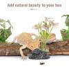 Veemoon Artificial Reptile Terrarium Plants view 3