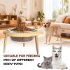 Raised Cat Bowl with Stand, Anti-Vomiting Pet Bowl and Water Dispenser view 3