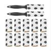 Pet Hair Lint Roller with Refill Rolls, Black view 4