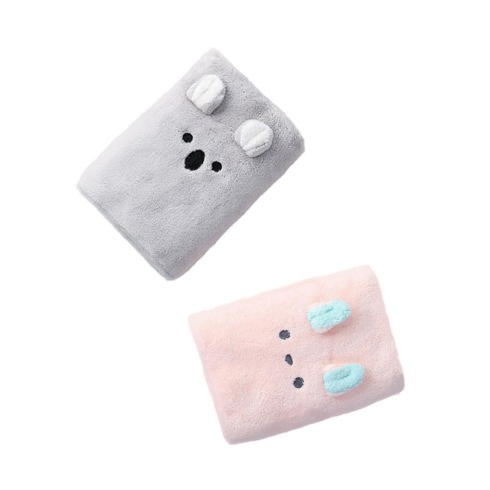 SEWACC 2-Piece Soft Coral Fleece Hair Drying Towel Set