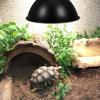 Reptile Heat Lamp Cover with Reflector, E27, Black Iron view 3