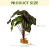 Toddmomy Artificial Terrarium Plants for Reptiles view 2