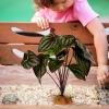 Toddmomy Artificial Terrarium Plants for Reptiles view 3