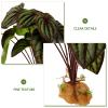 Toddmomy Artificial Terrarium Plants for Reptiles view 4
