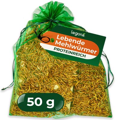 Legona Live Mealworms 50 g - Feed Insects for Terrarium Animals and Chickens