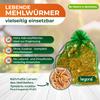 Legona Live Mealworms 50 g - Feed Insects for Terrarium Animals and Chickens view 2