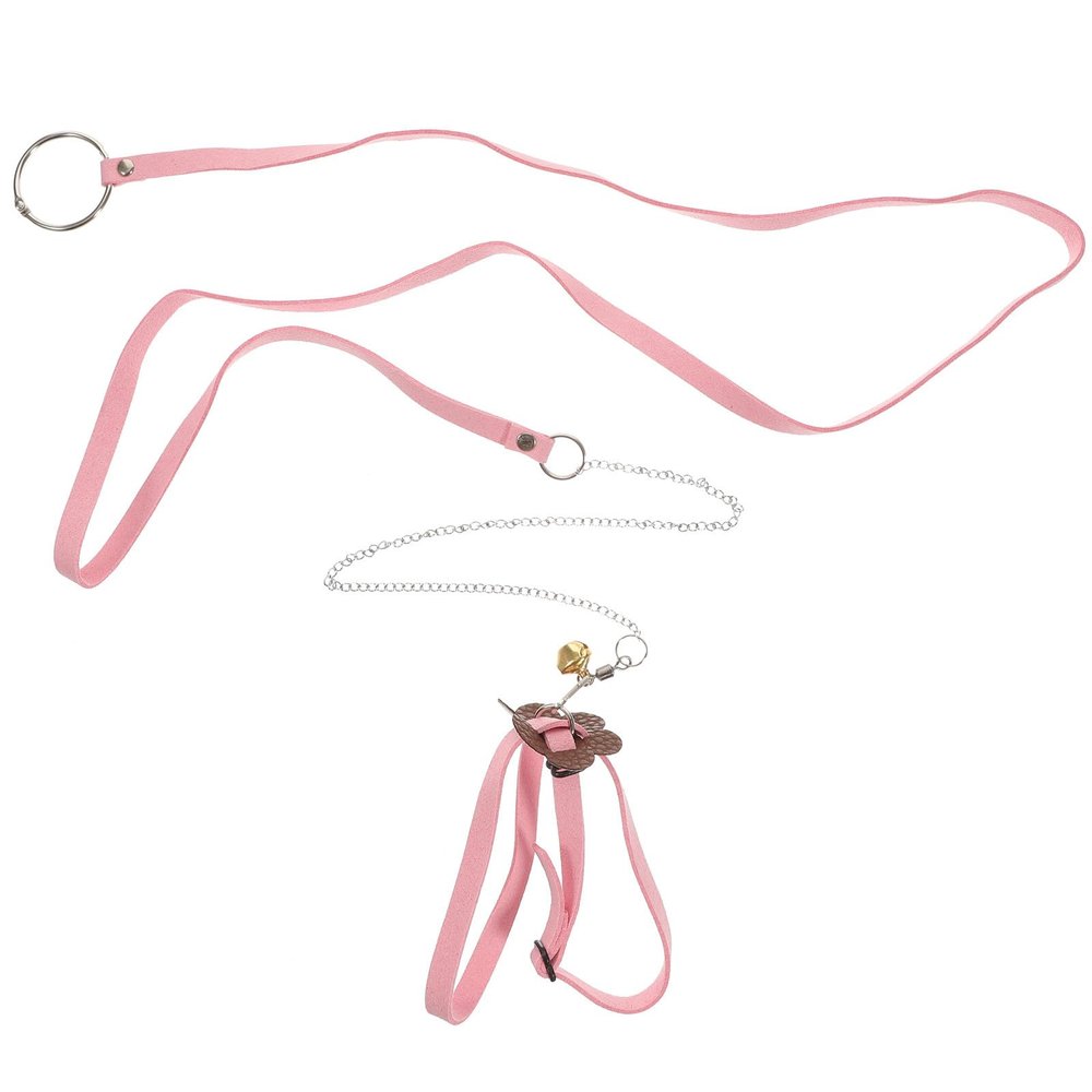 Jojofuny Turtle Leash