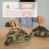 Jojofuny Turtle Leash view 4