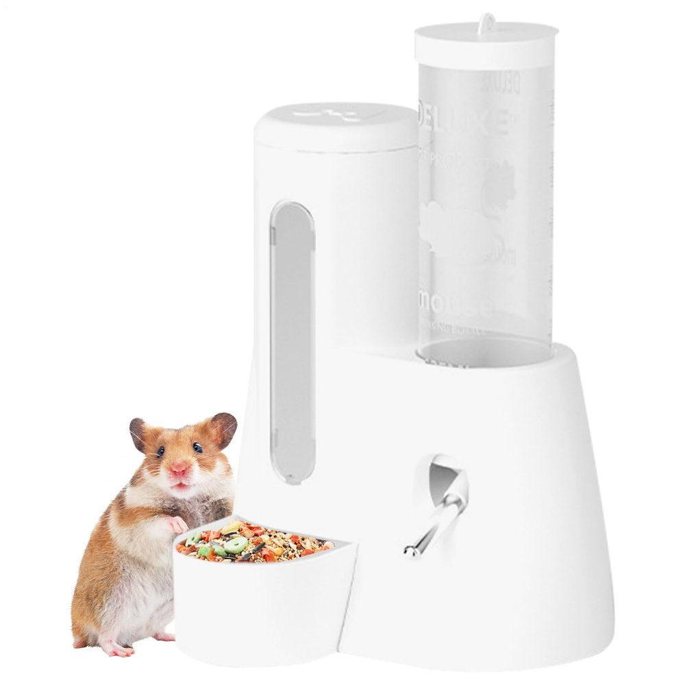 Chinchilla Water Bottle 6.3 x 5.12 x 4.33 inches