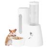 Chinchilla Water Bottle 6.3 x 5.12 x 4.33 inches view 1