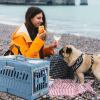 Foldable Breathable Cat Carrier for Travel view 2