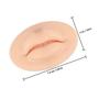 Portable Silicone Lip Form for Tattoo and Piercing Practice view 2