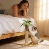 Sisal Cat Scratcher for Play and Furniture Protection view 3