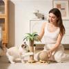 Sisal Cat Scratcher for Play and Furniture Protection view 4