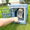 Foldable Breathable Cat Carrier Bag for Travel view 2