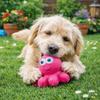 HAPPET Squeaky Octopus 10 cm - Rubber Toy for Dogs view 2