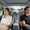 Universal Comfortable Cat Car Headrest Pillow view 2