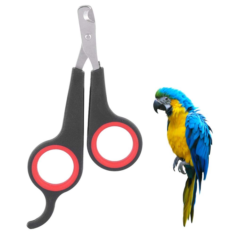 TIKATARER Bird Nail Clipper, Stainless Steel, Non-Slip Handle