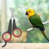 TIKATARER Bird Nail Clipper, Stainless Steel, Non-Slip Handle view 3
