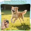 PQKL-party Dog Clicker view 4