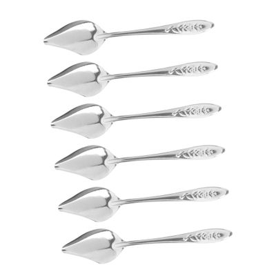 TOYANDONA 6-Piece Stainless Steel Feeding Spoons for Parrots and Small Birds