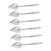 TOYANDONA 6-Piece Stainless Steel Feeding Spoons for Parrots and Small Birds view 1