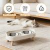 Raised Splash-Proof Feeding Bowl Set for Pets view 2