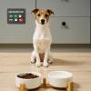 Dog Feeding Reminder Magnet view 3