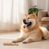 Dog Chew Toy | Durable, Bite-Resistant Gadget view 2