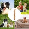 Dog Chew Toy | Durable, Bite-Resistant Gadget view 4