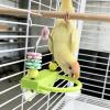 Budgie Perch with Chew Toy and Rotating Rings view 2