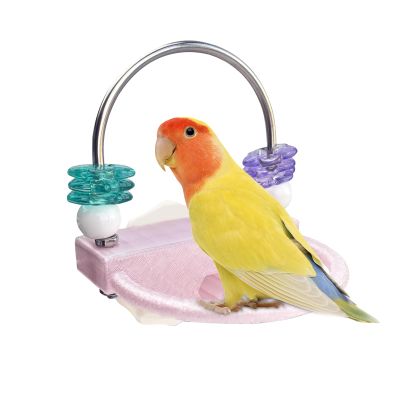 Parakeet Perch with Rotating Rings for Climbing and Standing