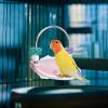 Parakeet Perch with Rotating Rings for Climbing and Standing view 2