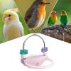 Parakeet Perch with Rotating Rings for Climbing and Standing view 4