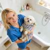 Absorbent Dog Bathrobe view 4