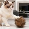 Interactive Plush Cat Balls view 2