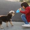 UKCOCO Freezable Dog Chew Ring view 4