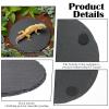 Reptile Sun Platform 15cm Round view 3