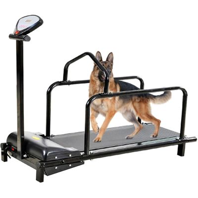 PioMue Dog Treadmill for Small Dogs, Quiet Indoor Pet Fitness Treadmill