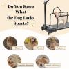 PioMue Dog Treadmill for Small Dogs, Quiet Indoor Pet Fitness Treadmill view 2