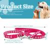UIEXEA 2-Piece Puppy Collar and Leash Set view 2