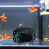 Aquarium Decoration, Broken Barrel Design Resin Ornament view 2