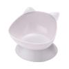 Zambuph Elevated Water Bowl for Pets view 1