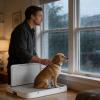 Non-Slip, Leak-Proof Dog Toilet for Indoor and Outdoor Use view 3