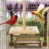 Bird Cage Perch with Feeder view 2