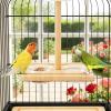 Bird Cage Perch with Feeder view 3