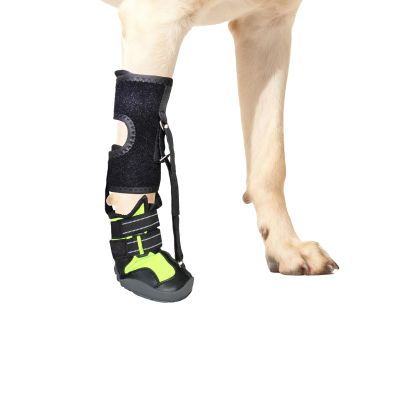Kfwfuaee Dog Foot-Drop Brace with Roller, Corrective Toe-Lifting Shoe