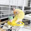 Bird Perch Station: Sturdy Wooden Chew Stand view 2