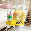 Bird Perch Station: Sturdy Wooden Chew Stand view 3